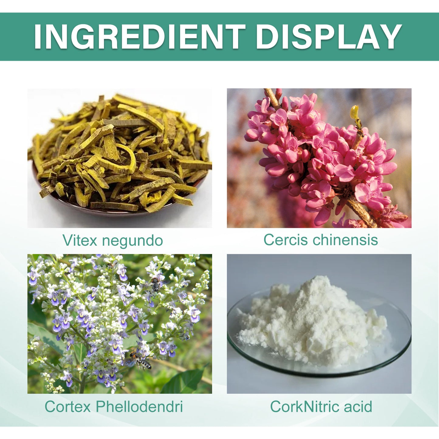 EELHOE Herbaceous Nail Relief Essence – Hand & Foot Care Solution for Softening, Thick Nail Care, Brightening & Bumpy Nails