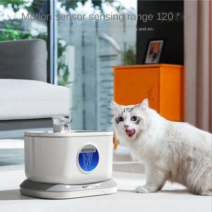 Cordless rechargeable cat water dispenser with large capacity. Long-lasting battery ensures fresh water supply—safe, quiet, and ideal for daily pet hydration.