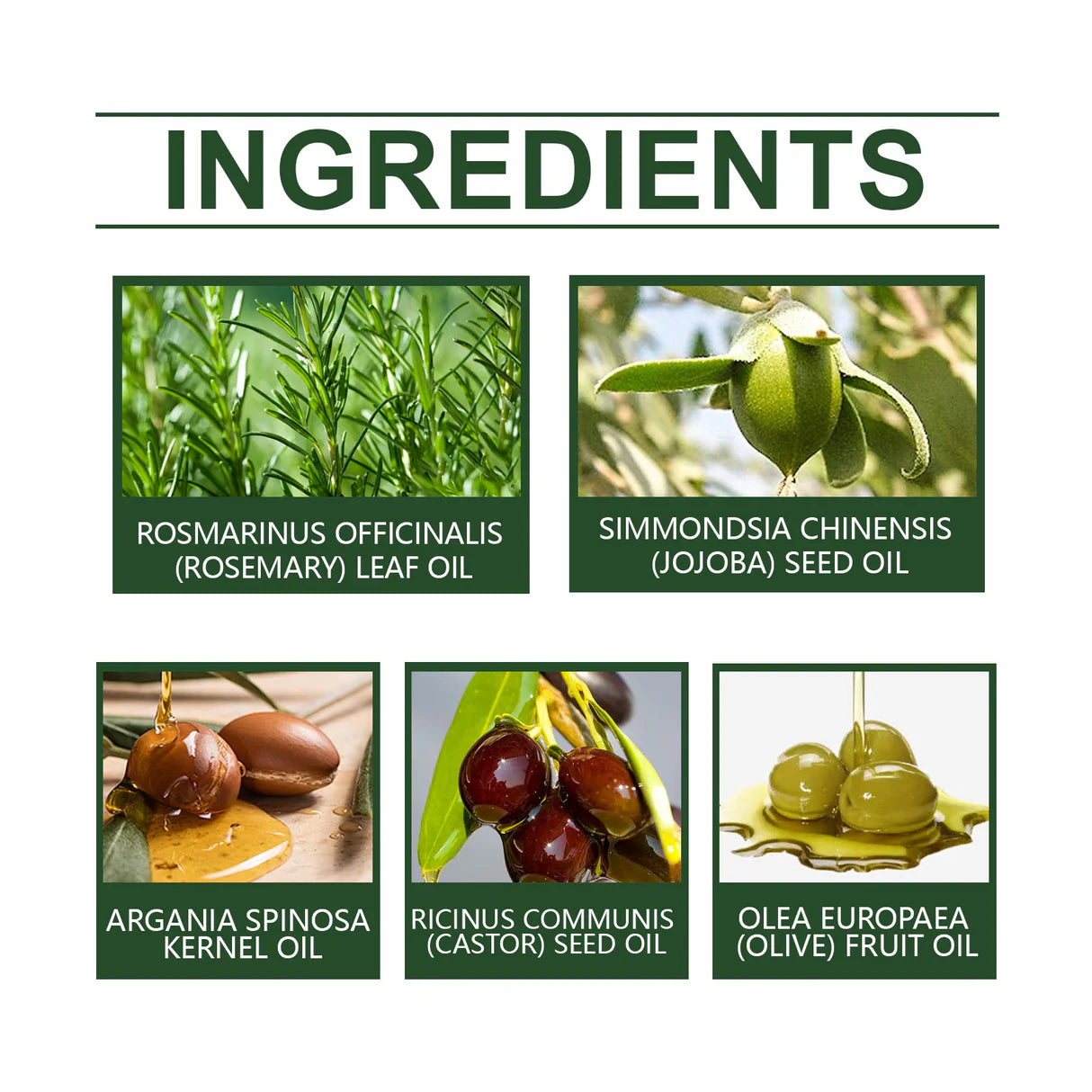 Zarusky Rosemary Oil for Hair Growth - Promotes Healthy Nourishing Strong Hair