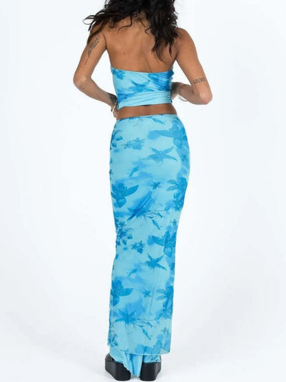 Printed Tube Top & Maxi Skirt Set - Two Piece Outfit