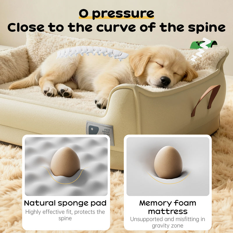 Durable all-weather dog house built for medium and large dogs. Chew-resistant, portable, and washable—ideal for indoor and outdoor comfort year-round.