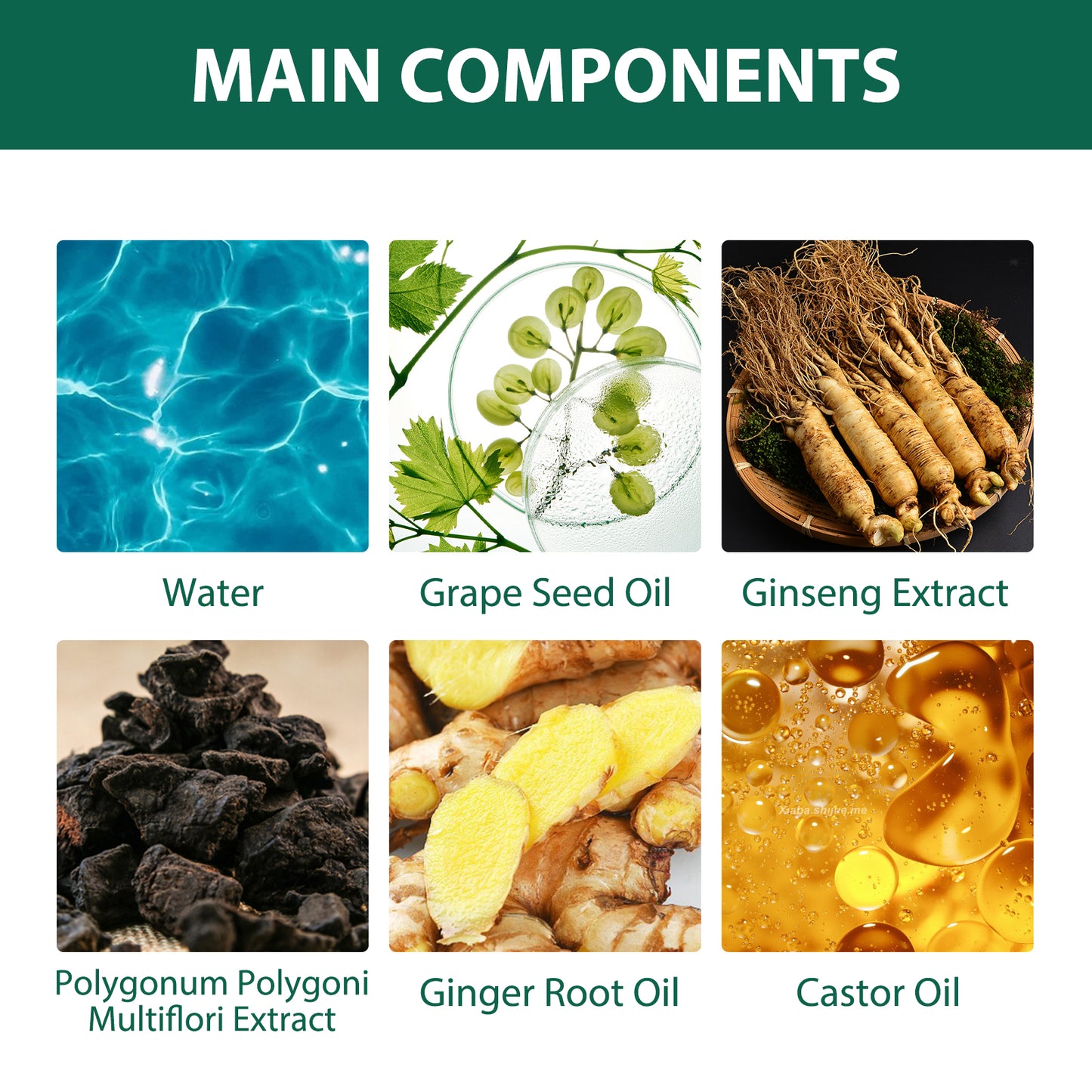 Scalp Treatment Serum - Ginger & Castor Oil Deep Cleansing Essence for Dandruff Repair & Hair Smoothing