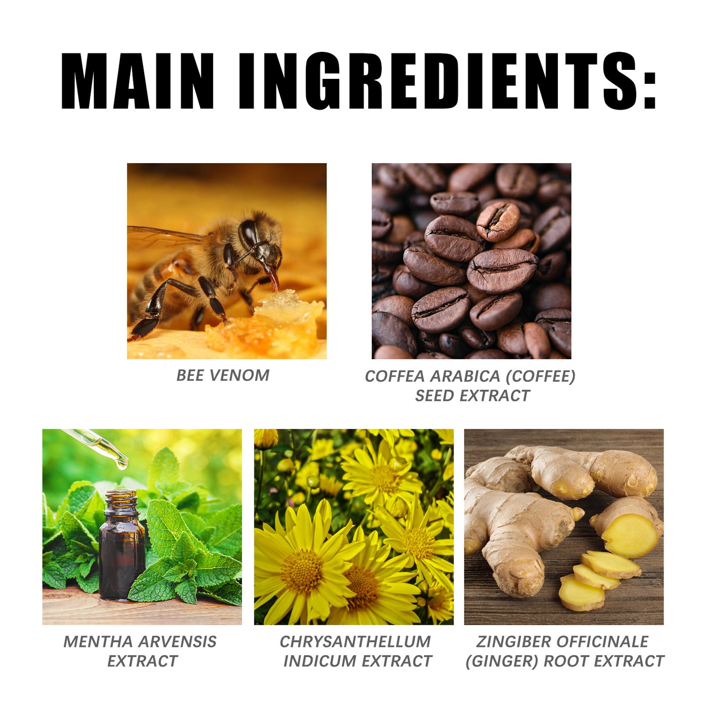 Zarusky Bee Venom Care Cream - Firming Body Moisturizer for Muscle Curves