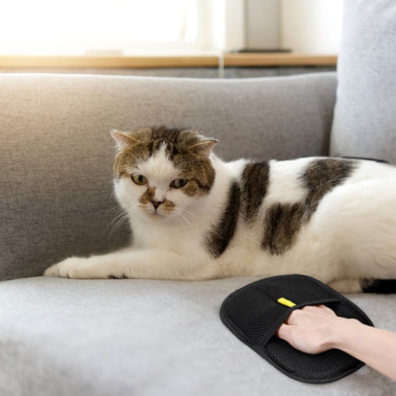 3-in-1 static pet hair removal gloves for grooming, deshedding, and cleaning fur from furniture, clothes, and carpets—gentle, reusable, and easy to use.