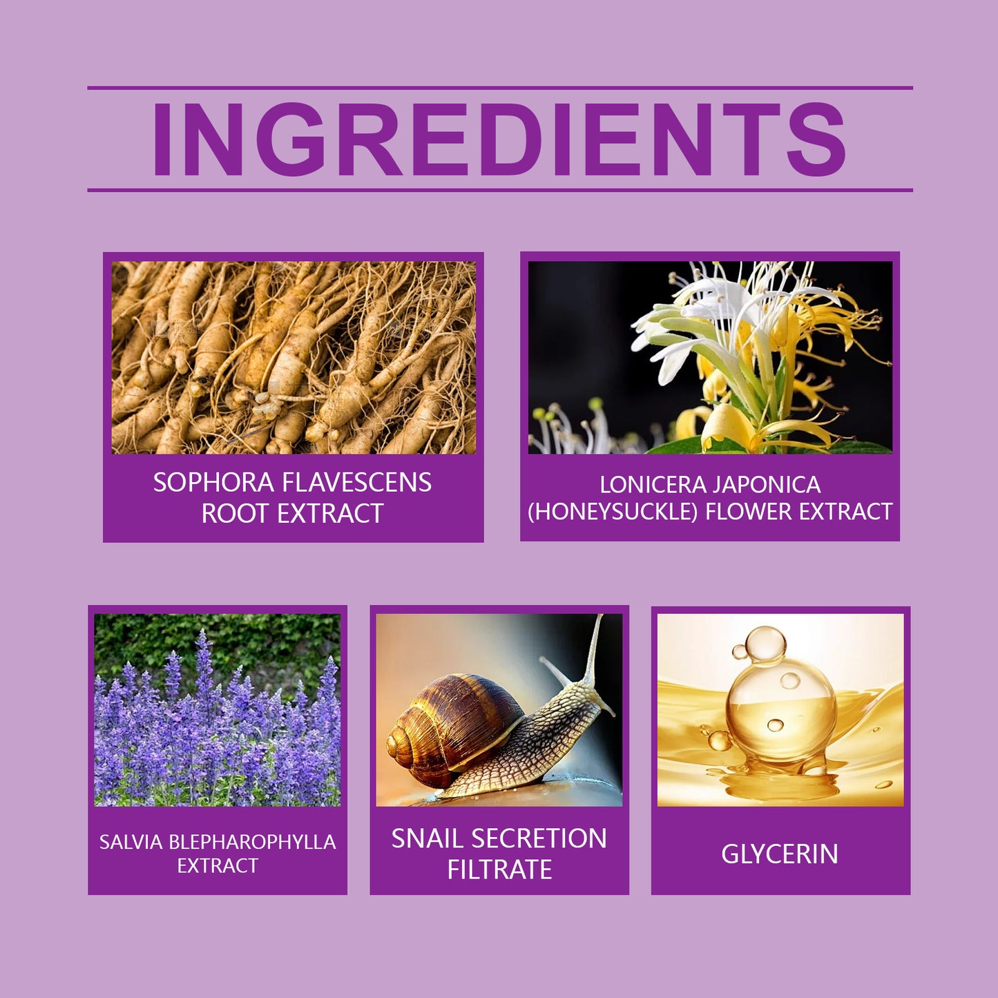 Zarusky Snail Firming Eye Cream - Brightening & Anti-Aging Eye Repair Treatment