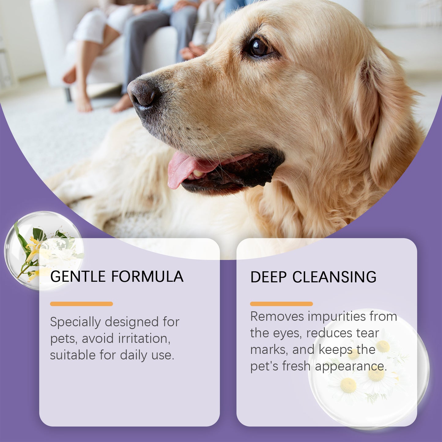 Gentle Pet Eye Wash - Tear Stain Remover for Cats & Dogs | Natural Eye Cleaning Solution
