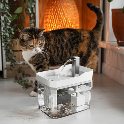 Automatic cat water fountain with multi-layer filter and circular water flow. USB-powered, quiet, and anti-dry protection for safe, fresh pet hydration