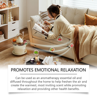 Winter Aromatherapy Essential Oil Set – Natural Fragrance Oils for Humidifier & Diffuser