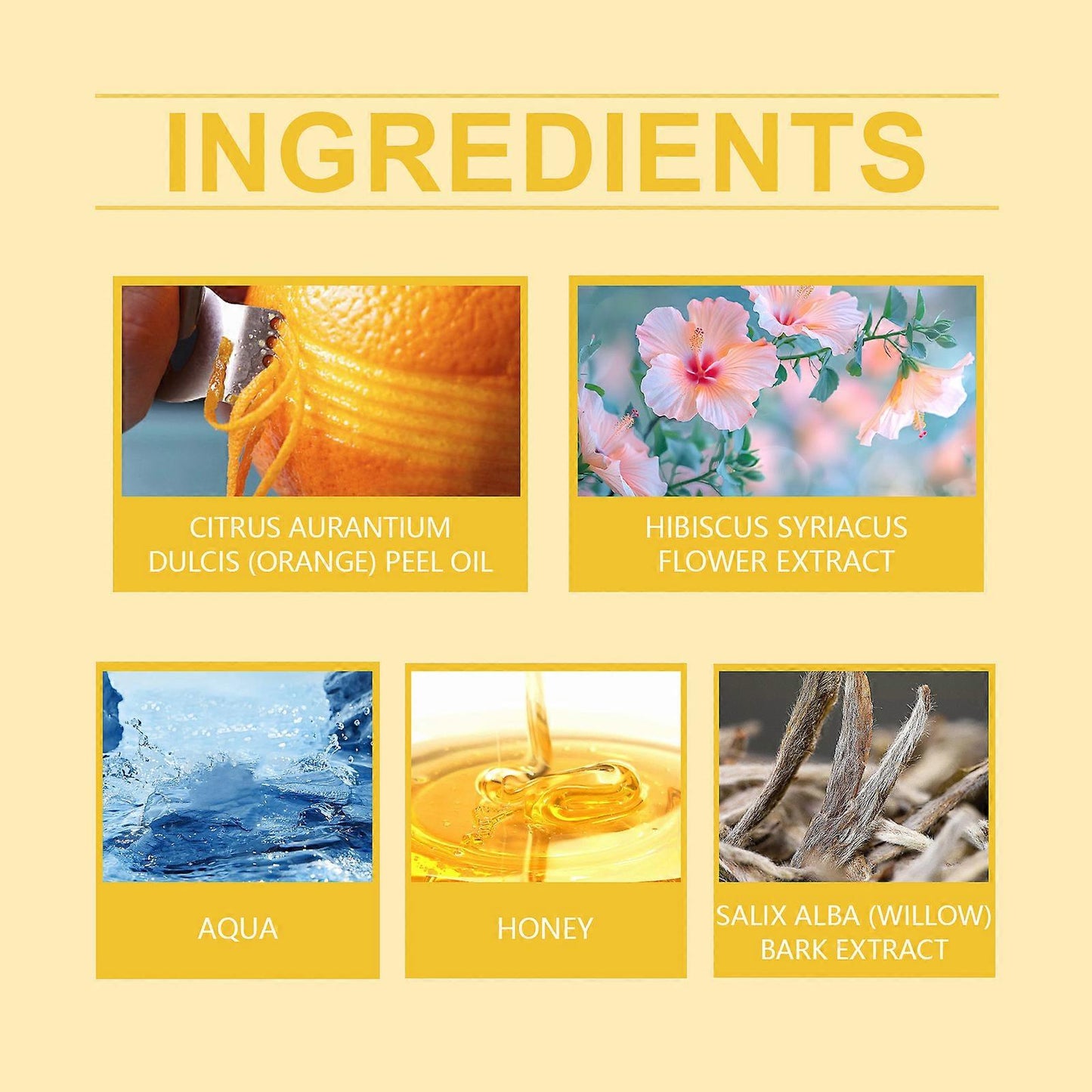 Honey Foam Cleanser - Gentle Hydrating Face Wash with Oil Control